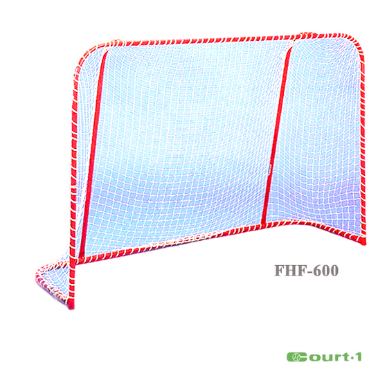 But de hockey en salle