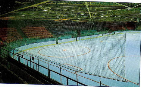 Rink Protective Netting