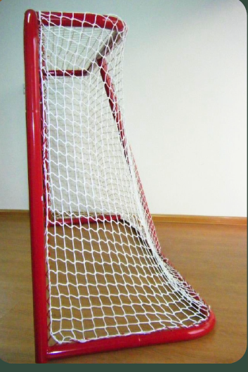 But de hockey de rue